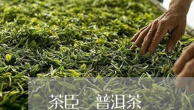 茶臣 普洱茶/2023042846379